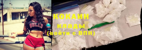 твердый Горняк