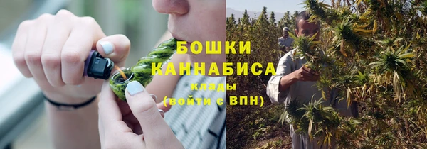 твердый Горняк