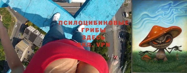 твердый Горняк